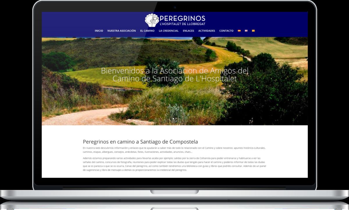 Diseño web