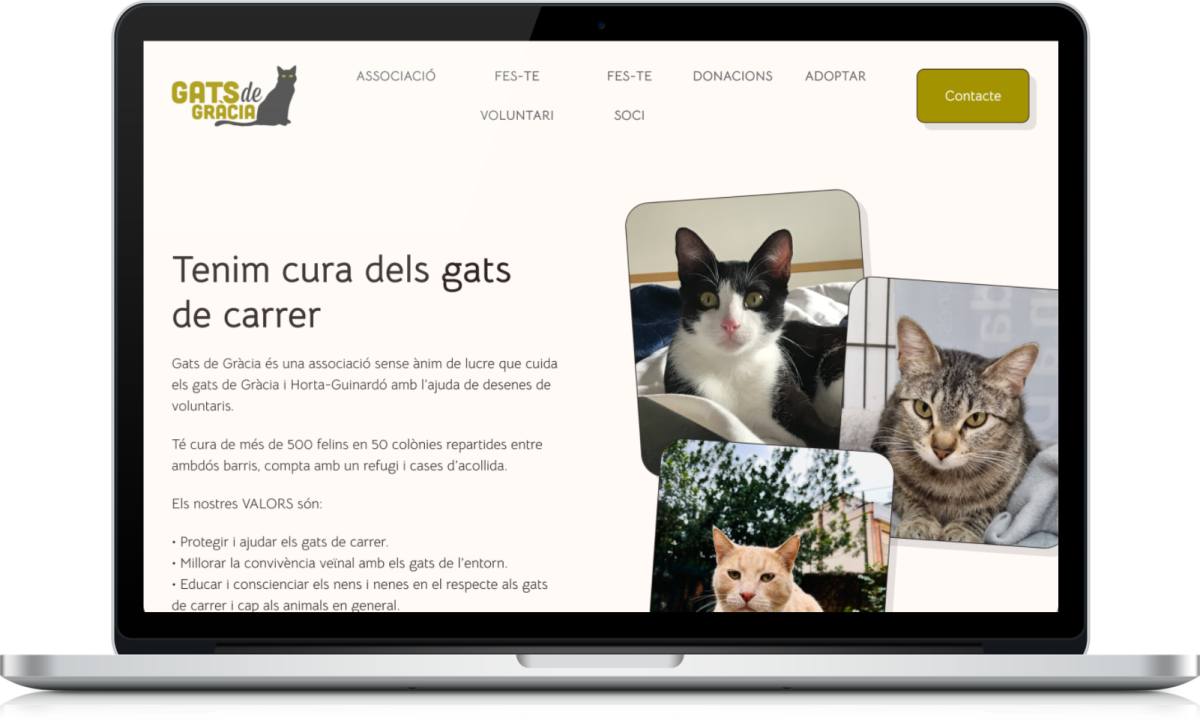 Diseño web