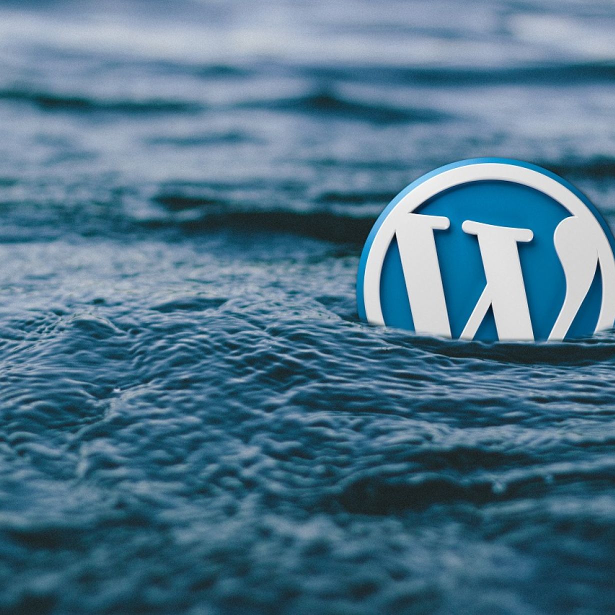 Diseño web