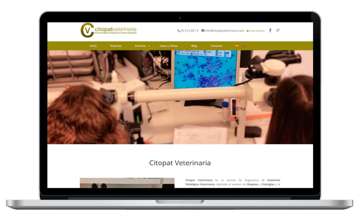 Diseño web